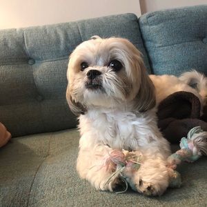 Meet your Posher, Haylee